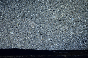 Cross Polarized, S81777