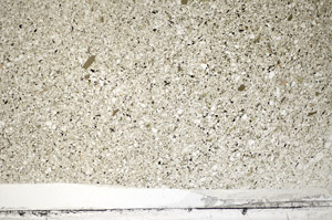 Plane Polarized, S81777