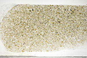 Plane Polarized, S81779/A