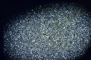 Cross Polarized, S81780/A