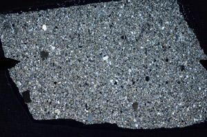 Cross Polarized, S81781