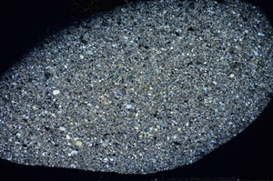 Cross Polarized, S81781/A