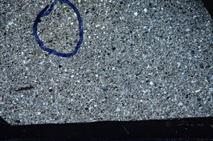 Cross Polarized, S81781/B