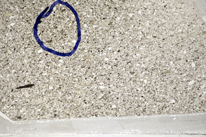 Plane Polarized, S81781/B