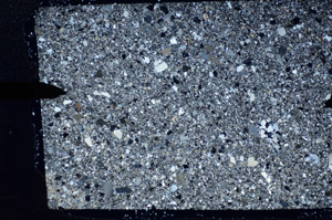 Cross Polarized, S81782