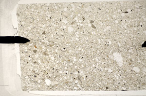 Plane Polarized, S81782