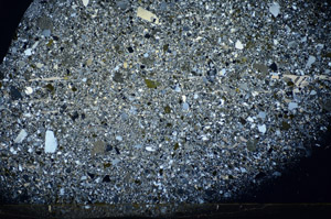 Cross Polarized, S81782/A