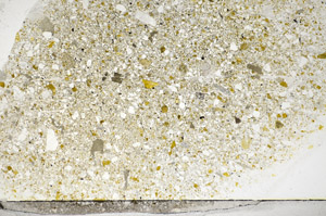 Plane Polarized, S81782/A