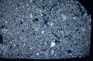 Cross Polarized, S81782/B