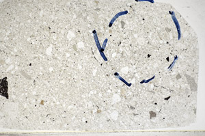 Plane Polarized, S81782/B