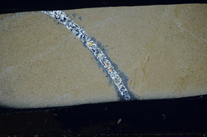 Cross Polarized, S81786