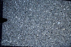 Cross Polarized, S81787