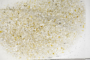 Plane Polarized, S81787/B