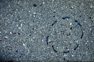 Cross Polarized, S81788