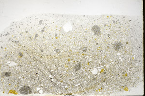 Plane Polarized, S81788/A