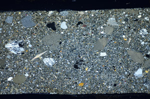 Cross Polarized, S81789/A