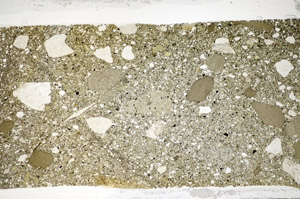 Plane Polarized, S81789/A