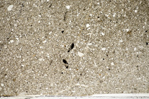Plane Polarized, S81790
