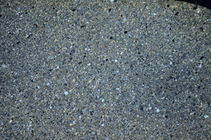 Cross Polarized, S81794