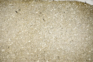Plane Polarized, S81794