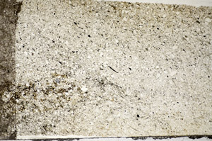 Plane Polarized, S81796