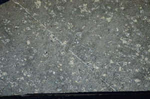 Cross Polarized, S81797