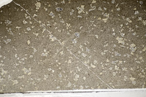 Plane Polarized, S81797