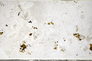 Plane Polarized, S81810