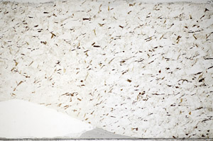 Plane Polarized, S81838