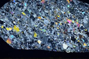 Cross Polarized, S81901