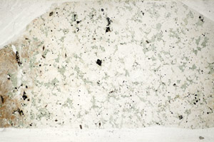 Plane Polarized, S82036