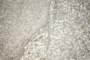 Plane Polarized, S82118