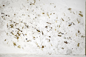 Plane Polarized, S82174