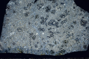 Cross Polarized, S82182