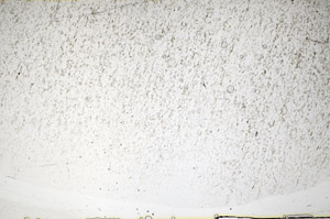 Plane Polarized, S82224