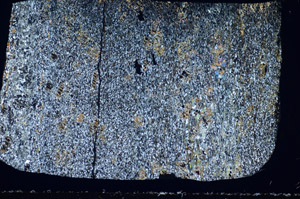 Cross Polarized, S82277