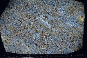 Cross Polarized, S82332