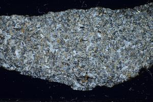 Cross Polarized, S82405