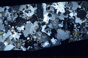 Cross Polarized, S82510