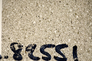 Plane Polarized, S82551