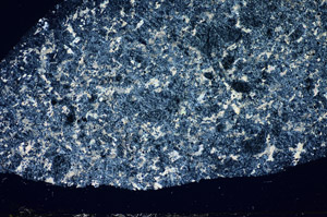 Cross Polarized, S82597