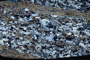 Cross Polarized, S82865