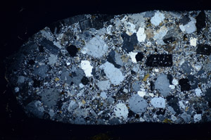 Cross Polarized, S82899