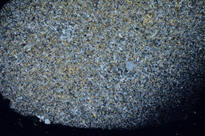 Cross Polarized, S82927