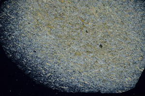 Cross Polarized, S82928