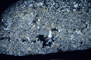 Cross Polarized, S82929