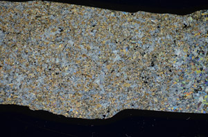 Cross Polarized, S83155