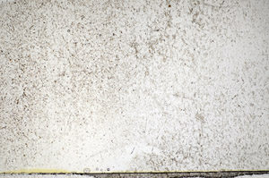 Plane Polarized, S83190