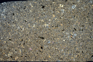 Cross Polarized, S83323