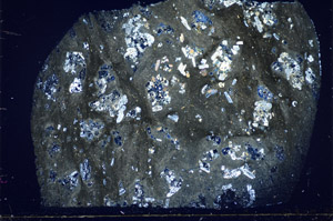 Cross Polarized, S83355